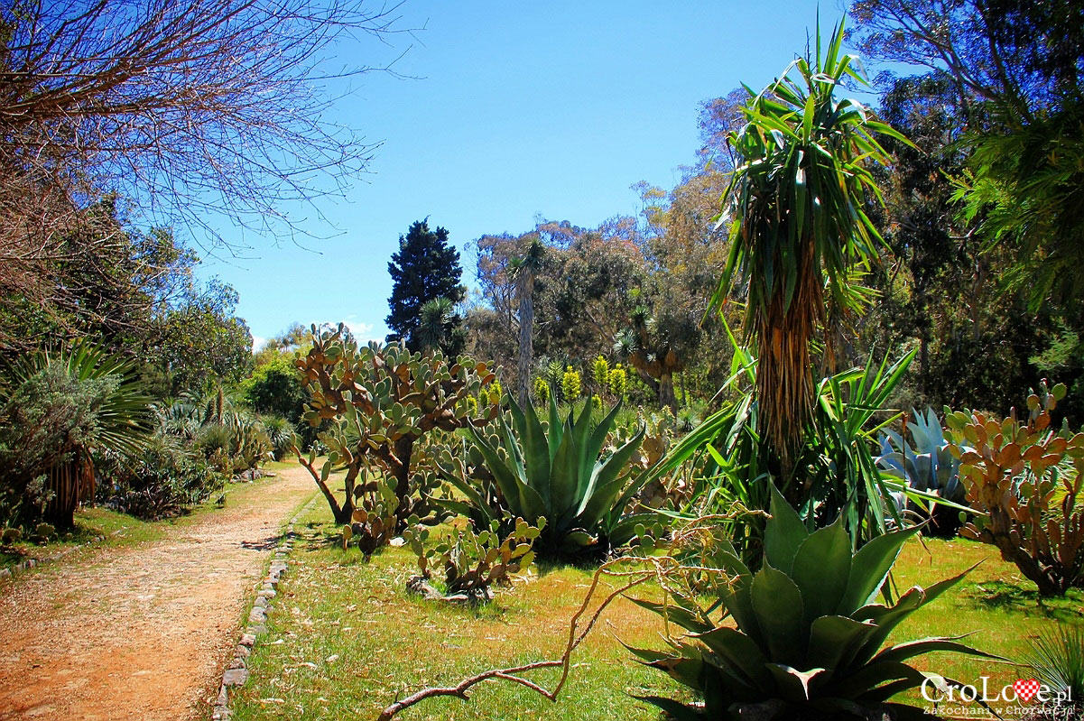 Ogród botaniczny na wyspie Lokrum