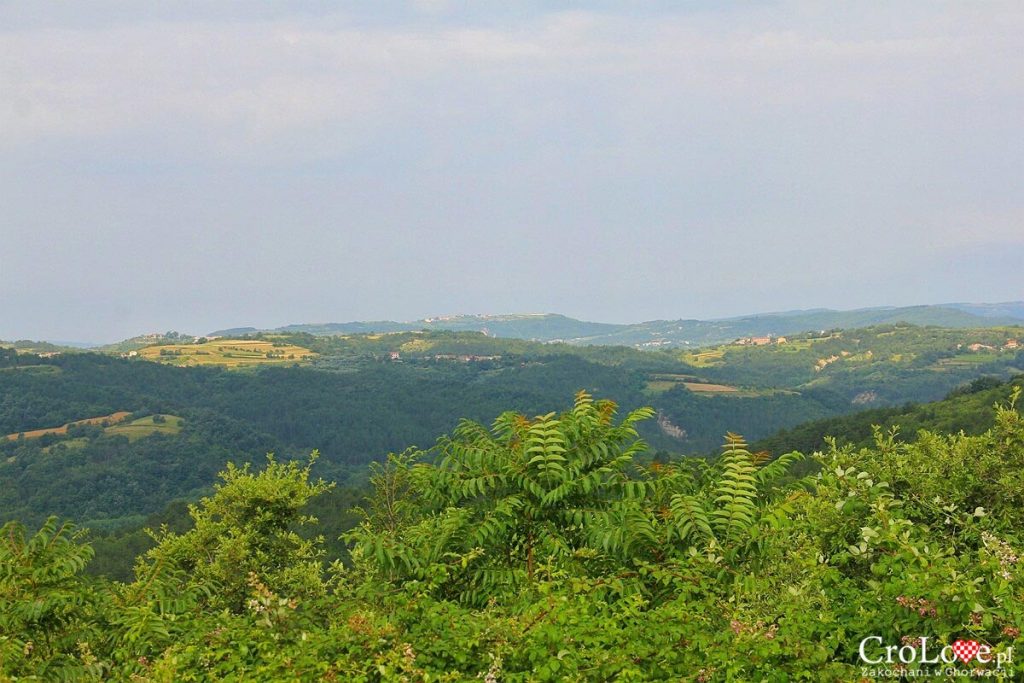 Panorama okolicy widzianej z Hum