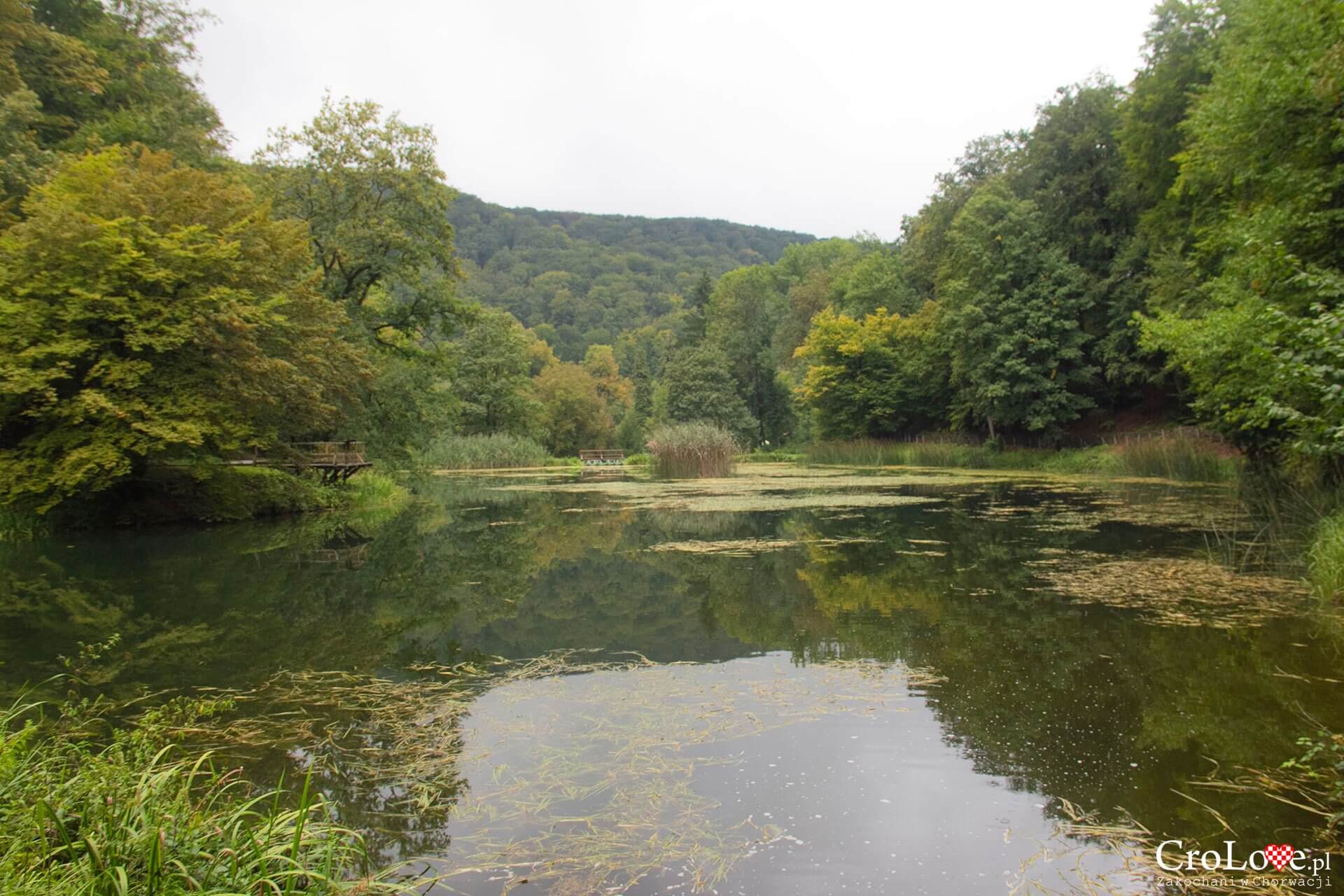 Park przyrody Papuk – Jankovac Mountain Park