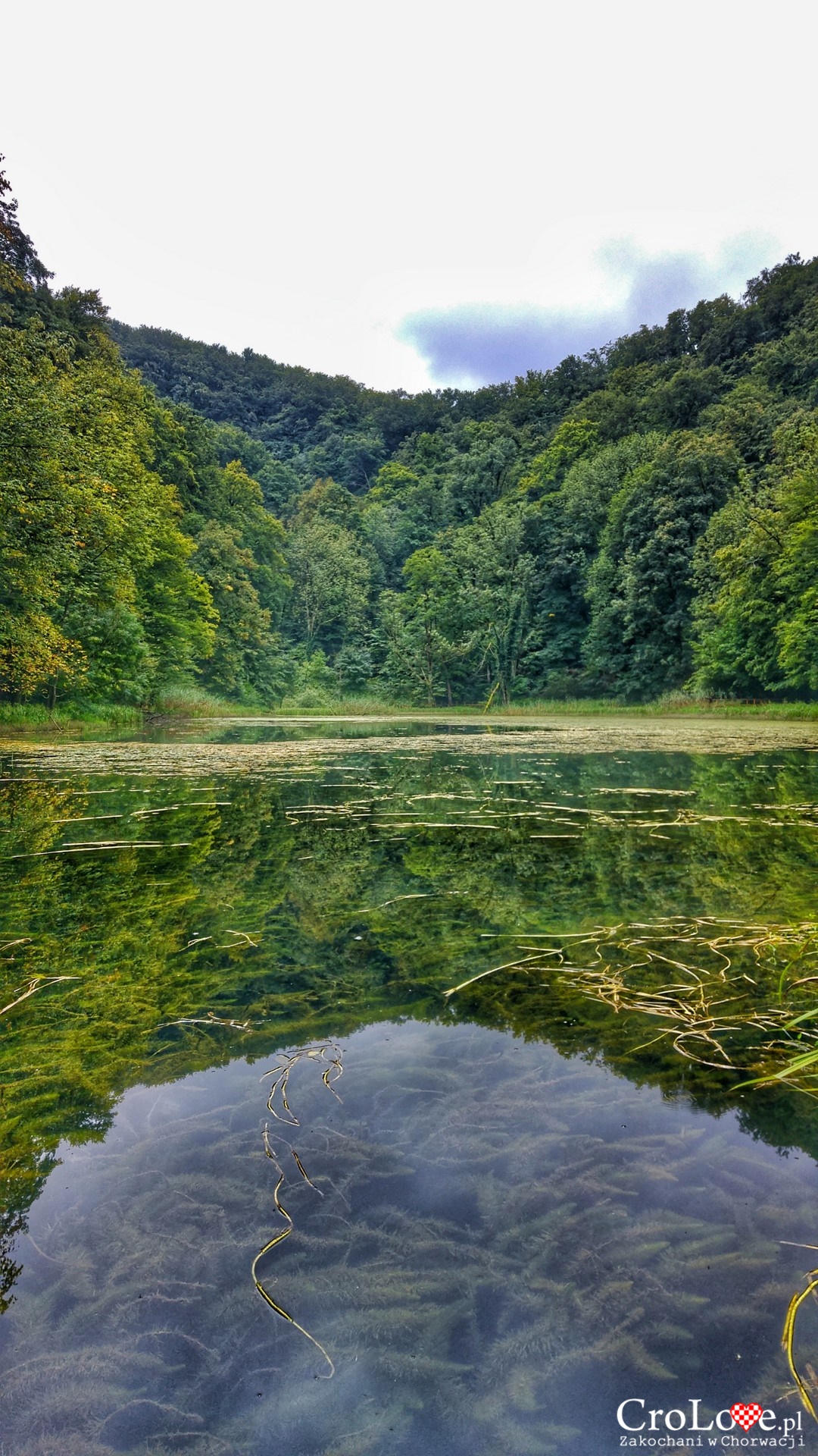 Park przyrody Papuk – Jankovac Mountain Park