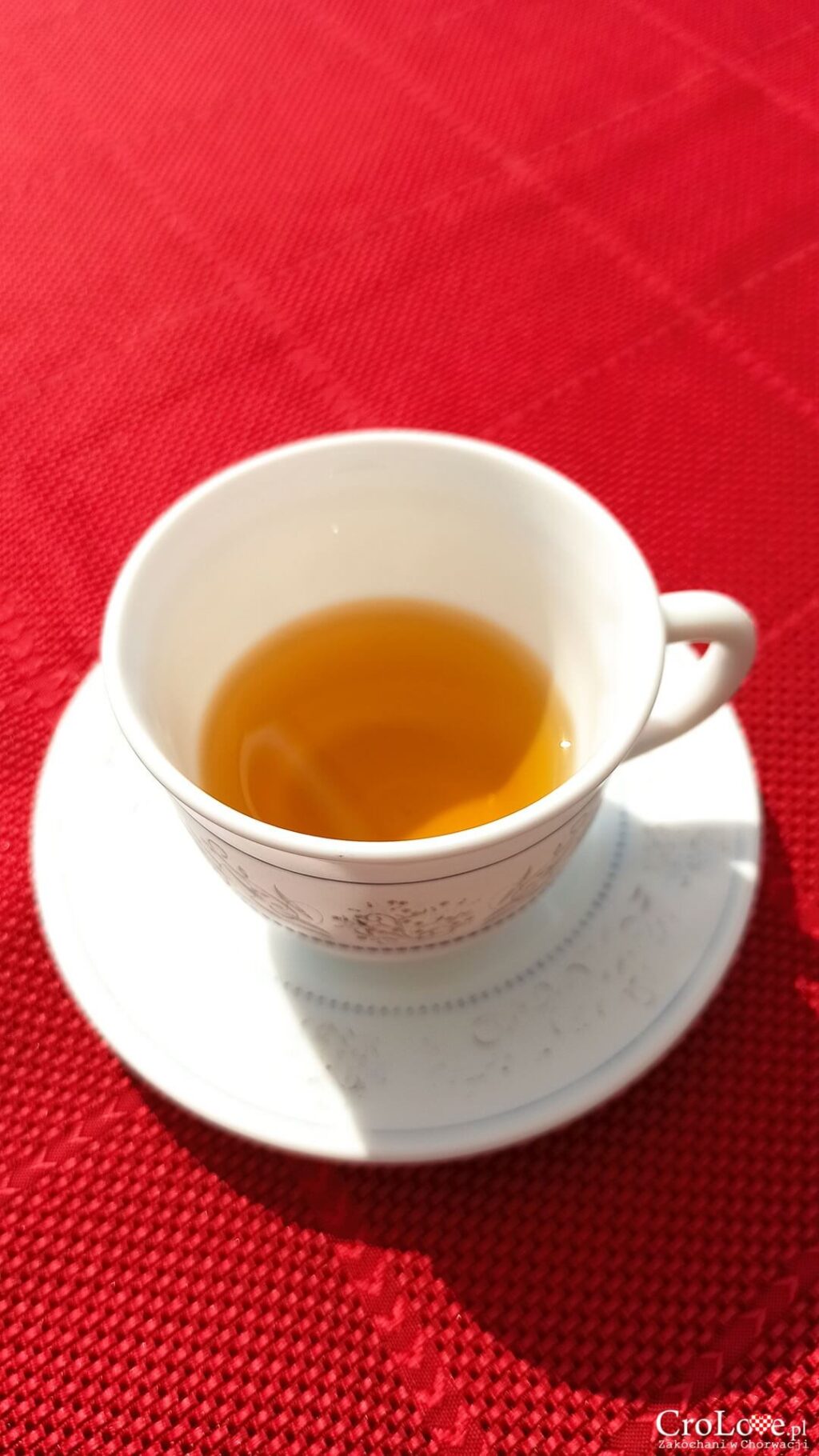 Omajola BIO herbata z liści oliwnych