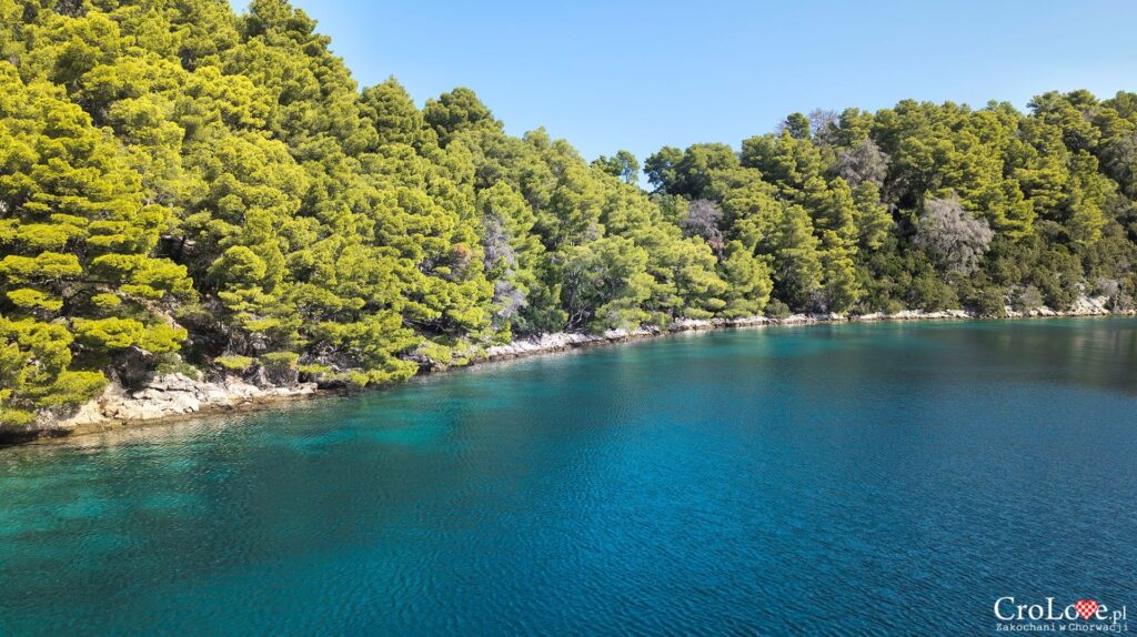 Park Narodowy Mljet w Chorwacji