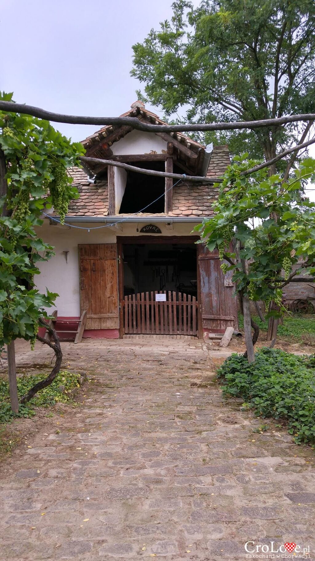 Etno restoran Baranjska kuća w Karanac