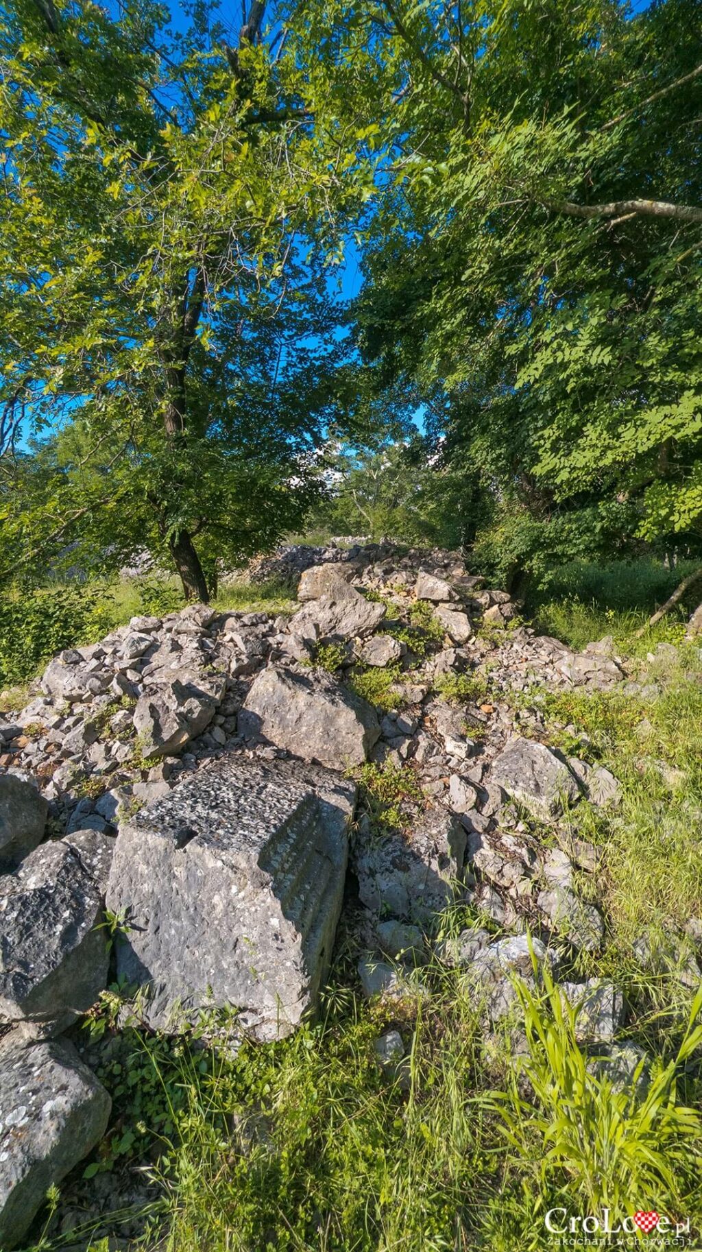 Fulfinum Mirine w Omišalju na wyspie Krk w Chorwacji