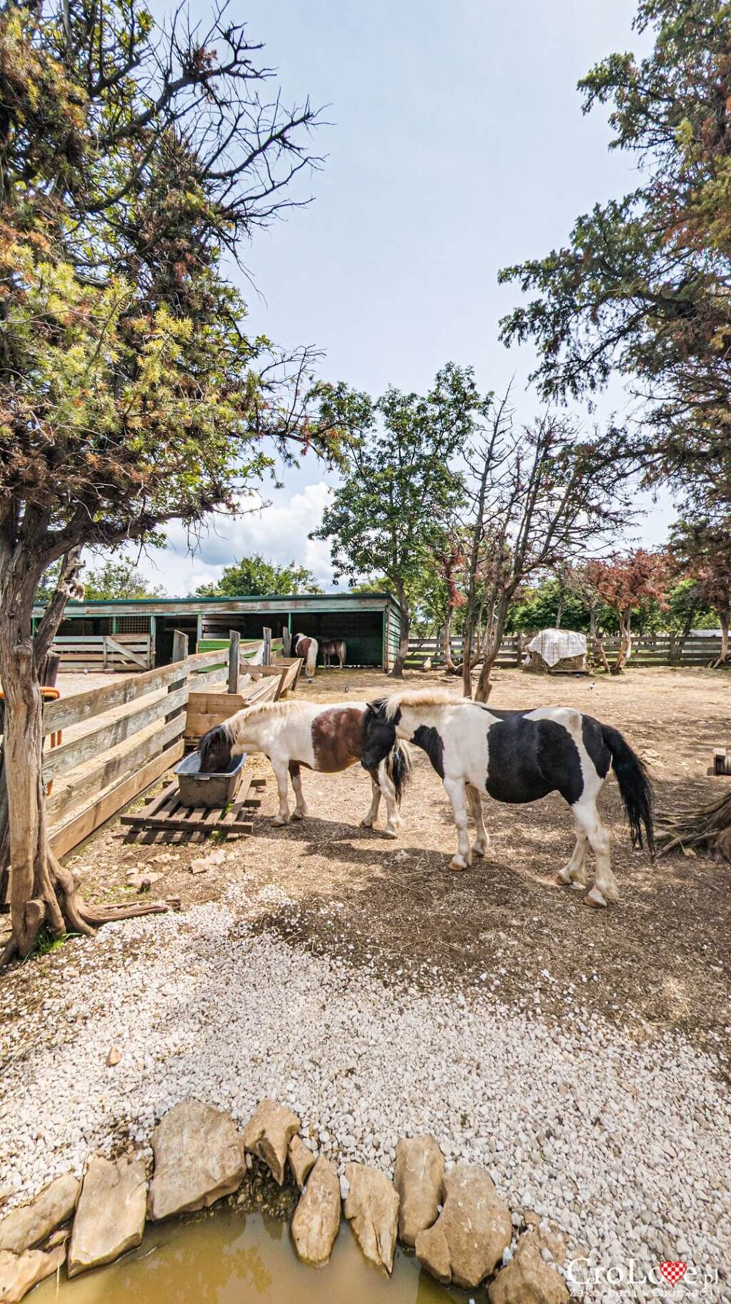 Mini ZOO na kempingu Omišalj na wyspie Krk w Chorwacji