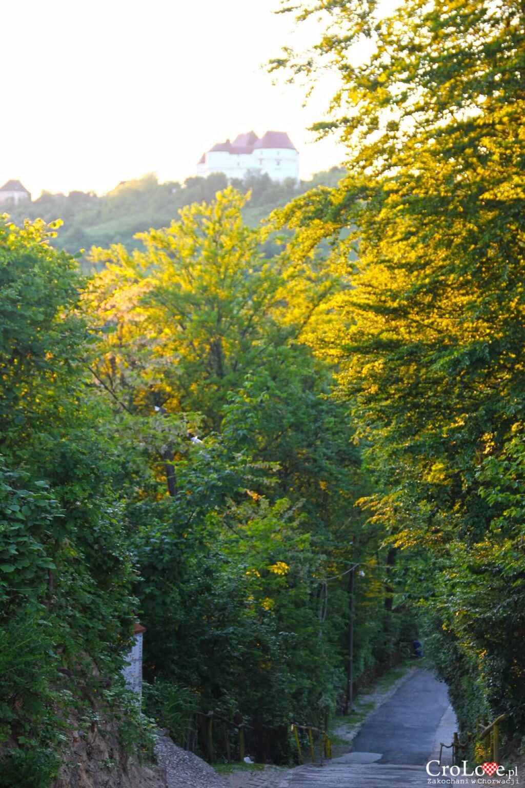 Restauracja Grešna Gorica w regionie Zagorje w Chorwacji