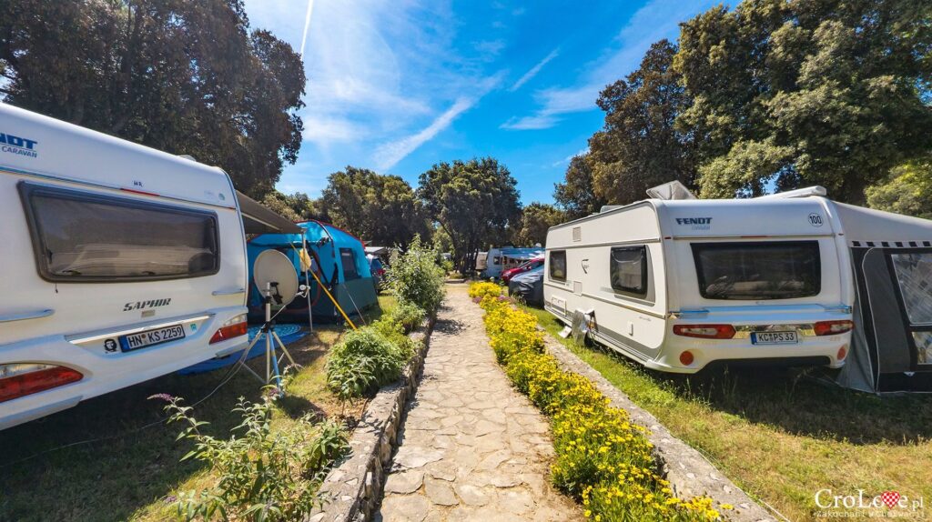 Parcele - Kemping Straško na wyspie Pag w Chorwacji