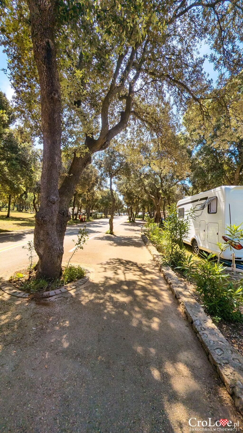 Parcele - Kemping Straško na wyspie Pag w Chorwacji