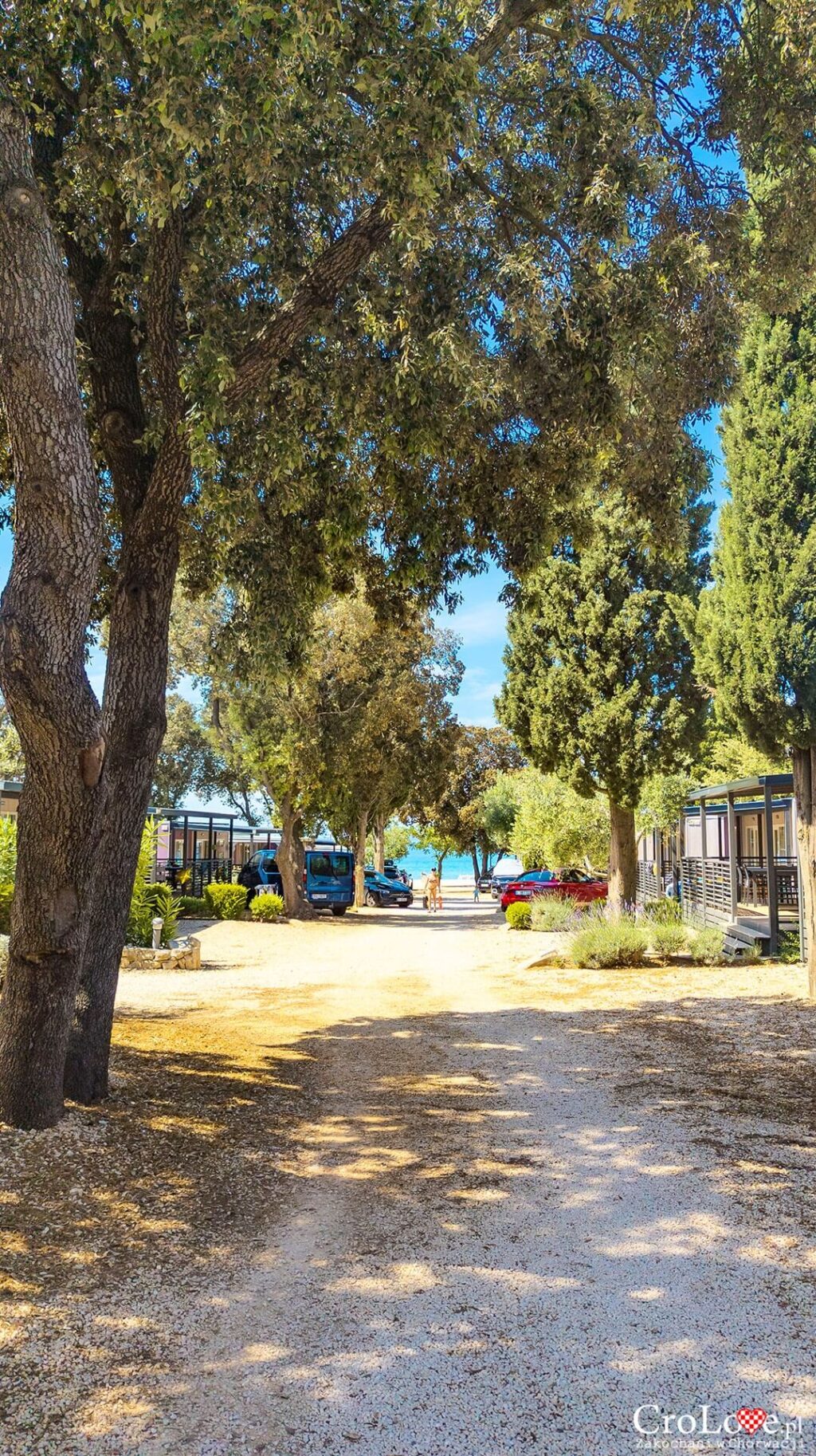 Domki mobilne - Kemping Straško na wyspie Pag w Chorwacji