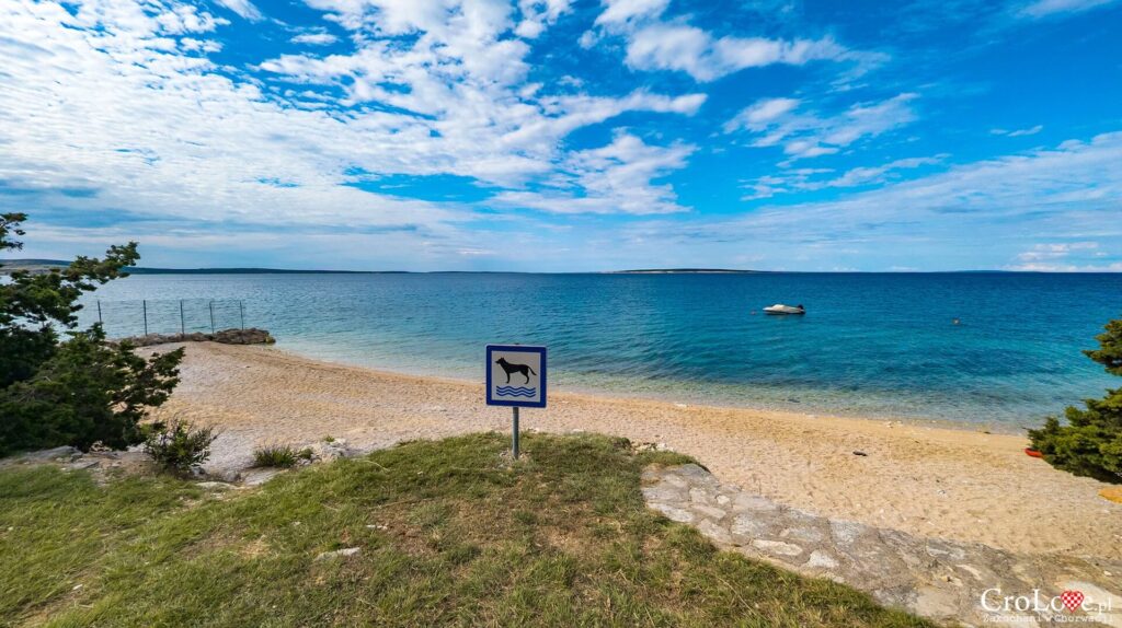 Plaże dla psów - Kemping Straško na wyspie Pag w Chorwacji