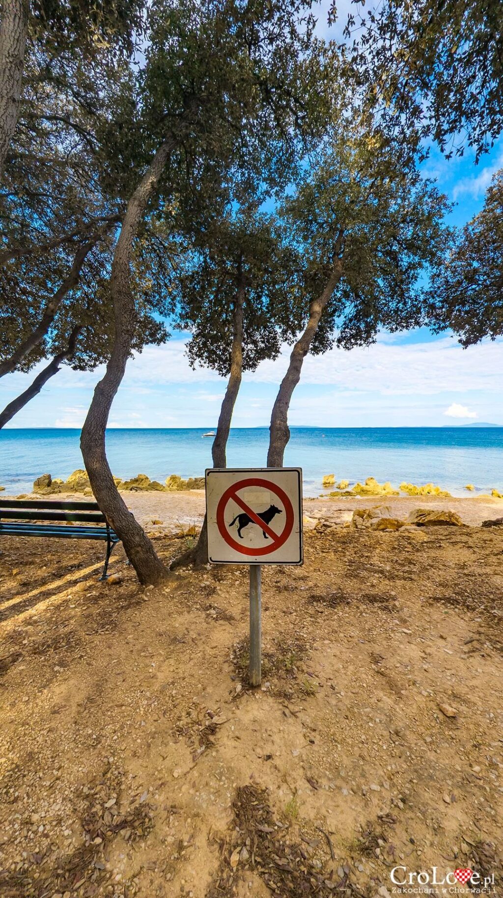 Plaże dla psów - Kemping Straško na wyspie Pag w Chorwacji