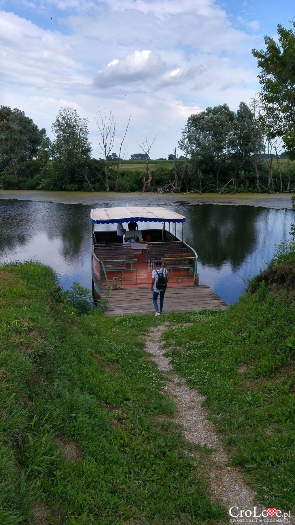 Rzeka Bosut w Nijemci w regionie Srijemu