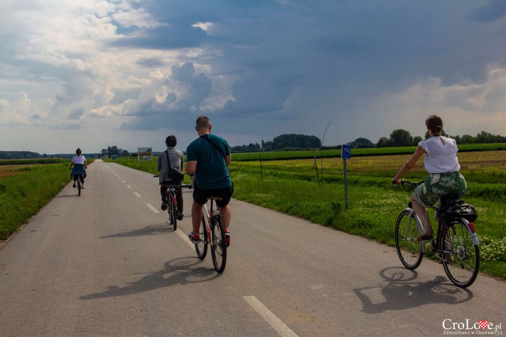 Rzeka Bosut w Nijemci w regionie Srijemu