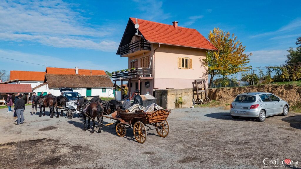 Winiarnia Trdenić w Popovačy w regionie Moslavina