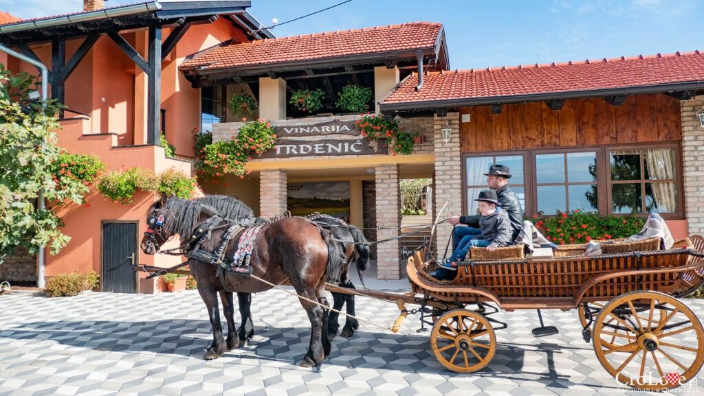 Winiarnia Trdenić w Popovačy w regionie Moslavina