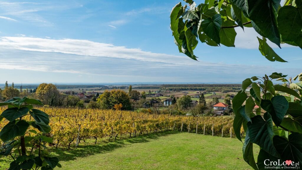 Winiarnia Trdenić w Popovačy w regionie Moslavina