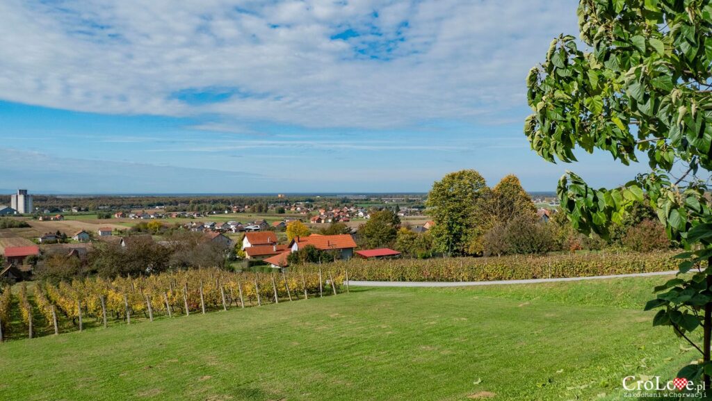 Winiarnia Trdenić w Popovačy w regionie Moslavina